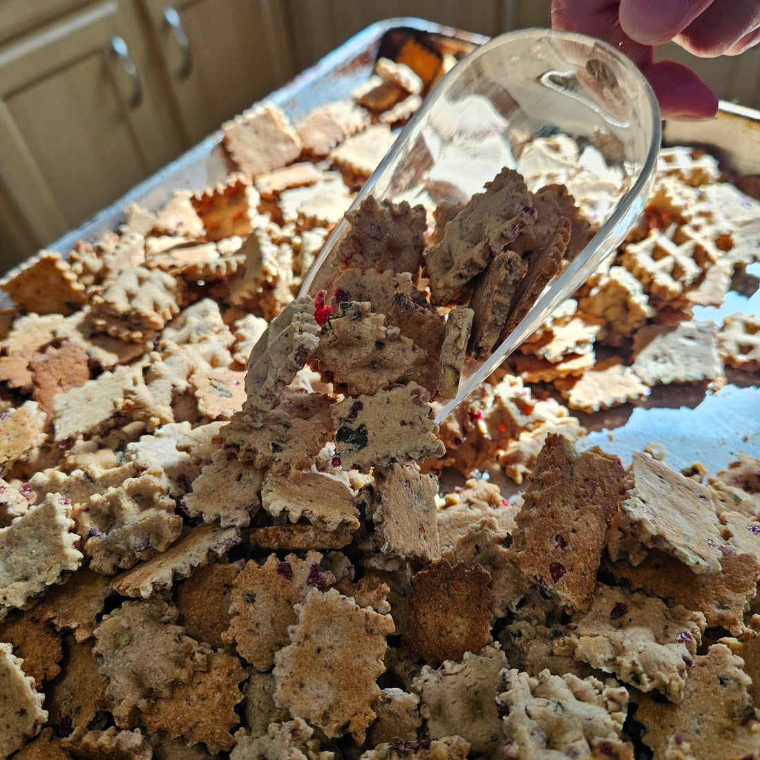 Wuffles Dog Treats at Eugene Holiday Market